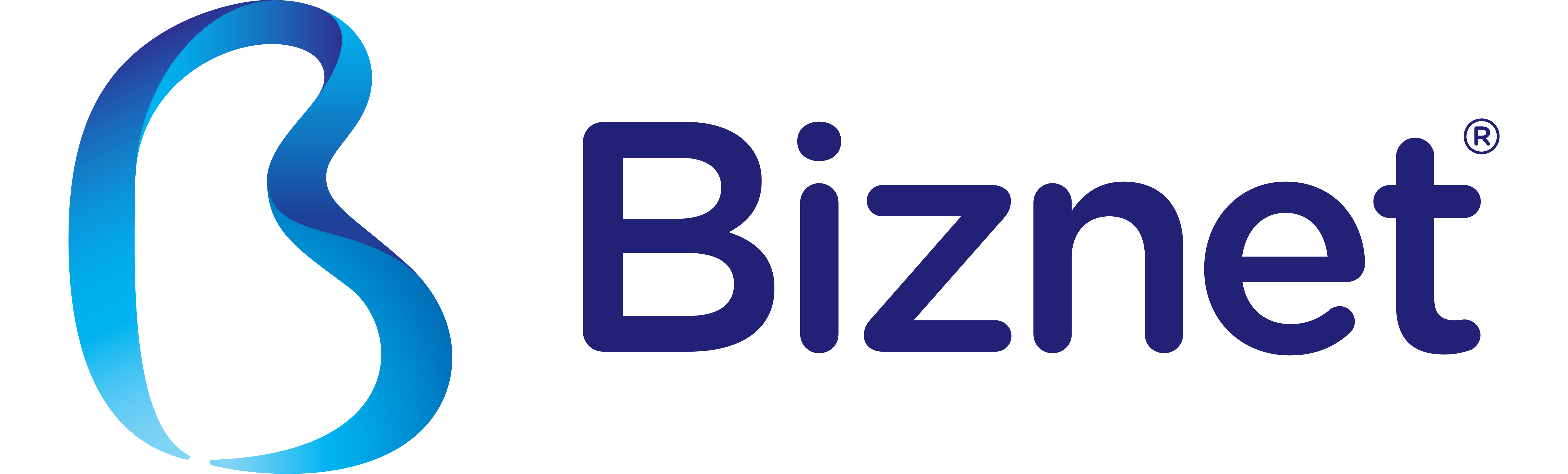 Bisnet